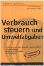 Steuerrecht - Verbrauchsteuern und Umweltabgaben