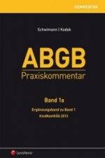 ABGB Praxiskommentar - Band 1a, Ergänzungsband zu Band 1