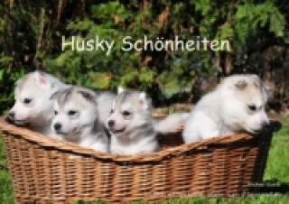 Husky Schönheiten (Posterbuch DIN A3 quer)