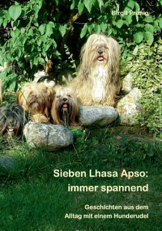 Sieben Lhasa Apso