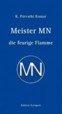 Meister MN