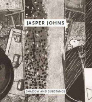 Jasper Johns: Shadow and Substance