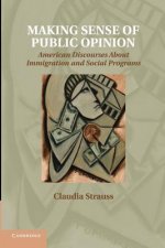 Making Sense of Public Opinion