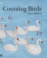 Counting Birds