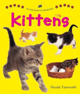 Say and Point Picture Boards: Kittens