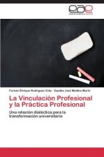 Vinculacion Profesional y la Practica Profesional
