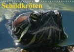 Schildkröten (Wandkalender immerwährend DIN A4 quer)