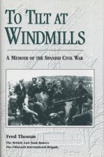 To Tilt at Windmills