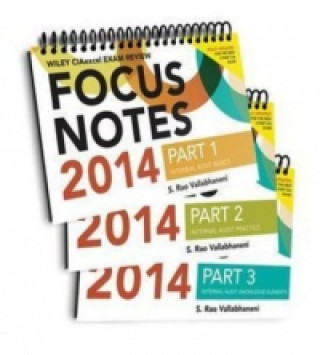 Wiley CIA Focus Notes 2014