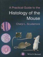 Practical Guide to the Histology of the Mouse