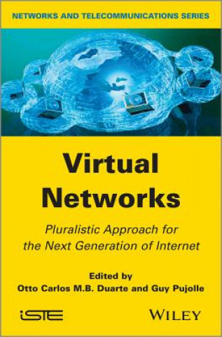 Virtual Networks - Pluralistic Approach for the Next Generation of Internet