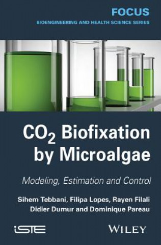 CO2 Biofixation by Microalgae - Automation Process