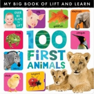 My Big Book of Lift and Learn: 100 First Animals