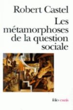 Metamorphoses De La Question Sociale: Une Chronique Du Salar