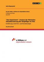 Experiment. Analyse der filmischen Charakterisierung der Hauptfigur im Film