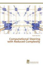 Computational Steering with Reduced Complexity