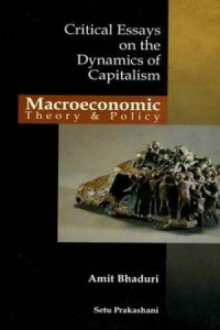 Macroeconomic Theory & Policy Critical Essays on the Dynamics of Capitalism