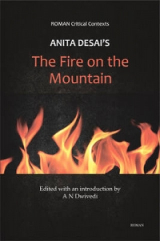 Anita Desai's 'The Fire on the Mountain' (ROMAN Critical Context)