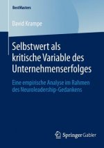 Selbstwert ALS Kritische Variable Des Unternehmenserfolges