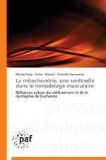 La Mitochondrie, Une Sentinelle Dans Le Remodelage Musculaire