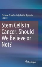 Stem Cells in Cancer: Should We Believe or Not?