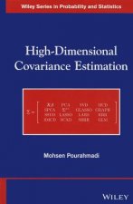 High-Dimensional Covariance Estimation