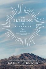 Blessing Of Adversity, The