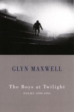Boys at Twilight