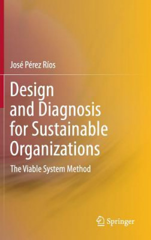 Design and Diagnosis for Sustainable Organizations