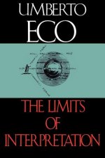 Limits of Interpretation