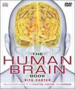 THE HUMAN BRAIN BOOK