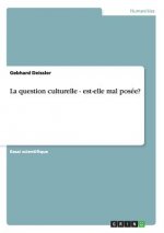 question culturelle - est-elle mal posee?