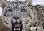 Leoparden (Tischkalender immerwährend DIN A5 quer)