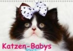 Katzen-Babys (Wandkalender immerwährend DIN A4 quer)