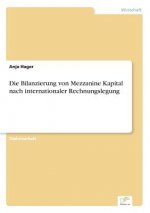 Bilanzierung von Mezzanine Kapital nach internationaler Rechnungslegung