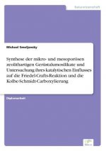 Synthese der mikro- und mesoporoesen zeolithartigen Gerustalumosilikate und Untersuchung ihres katalytischen Einflusses auf die Friedel-Crafts-Reaktio