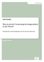 Was ist mit der Umsetzung der Jungenarbeit in die Praxis?