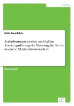 Anforderungen an eine nachhaltige Anreizregulierung der Netzentgelte fur die deutsche Elektrizitatswirtschaft