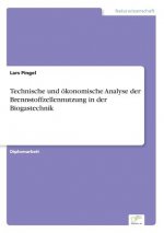 Technische und oekonomische Analyse der Brennstoffzellennutzung in der Biogastechnik