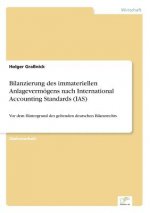 Bilanzierung des immateriellen Anlagevermoegens nach International Accounting Standards (IAS)