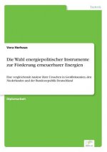 Wahl energiepolitischer Instrumente zur Foerderung erneuerbarer Energien