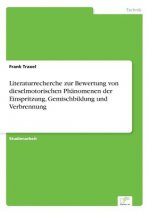 Literaturrecherche zur Bewertung von dieselmotorischen Phanomenen der Einspritzung, Gemischbildung und Verbrennung