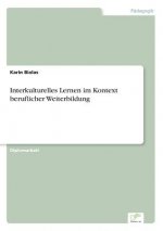 Interkulturelles Lernen im Kontext beruflicher Weiterbildung