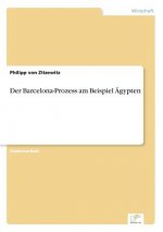 Barcelona-Prozess am Beispiel AEgypten