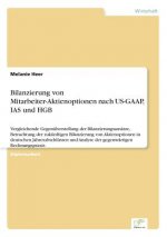 Bilanzierung von Mitarbeiter-Aktienoptionen nach US-GAAP, IAS und HGB