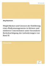 Moeglichkeiten und Grenzen der Einfuhrung eines Risikomanagements in kleinen und mittleren Unternehmen unter besonderer Berucksichtigung der Anforderu