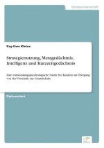 Strategienutzung, Metagedachtnis, Intelligenz und Kurzzeitgedachtnis