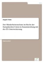 Minderheitenschutz im Recht der Europaischen Union in Zusammenhang mit der EU-Osterweiterung