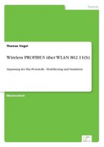 Wireless PROFIBUS uber WLAN 802.11(b)