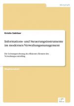 Informations- und Steuerungsinstrumente im modernen Verwaltungsmanagement